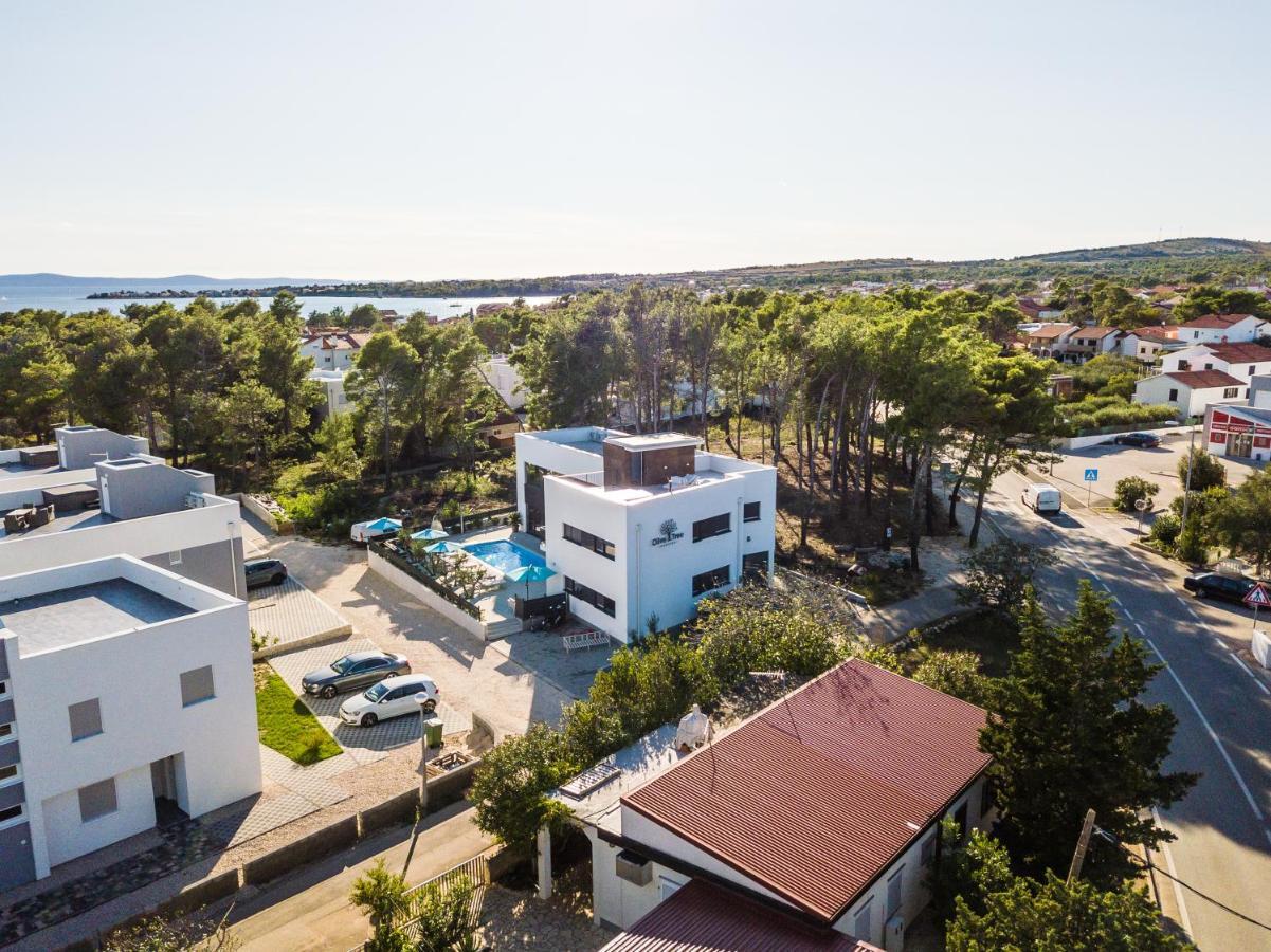Apartmán Olive Tree Mansion Vir Exteriér fotografie